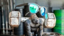 Goodr Sunglasses - OG Beast Collection (OG) 6 Goodr Sunglasses - OG Beast Collection (OG) -Pro Runner Shop Product 0009 Silverback 1000x d453092e adbf 4888 9597 575f8b234ba2