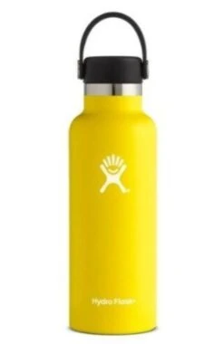 Hydro Flask 18 Oz Standard Mouth Bottles W/ Flex Cap (S18SX) -Pro Runner Shop s l500