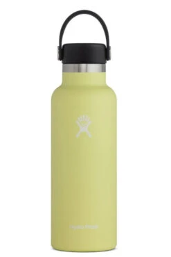 Hydro Flask 18 Oz Standard Mouth Bottles W/ Flex Cap (S18SX) -Pro Runner Shop s18sx pineapple