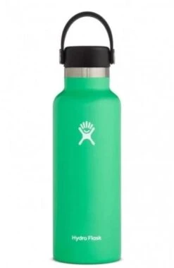Hydro Flask 18 Oz Standard Mouth Bottles W/ Flex Cap (S18SX) -Pro Runner Shop s18sx2 spearmint