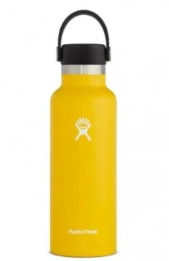 Hydro Flask 18 Oz Standard Mouth Bottles W/ Flex Cap (S18SX) -Pro Runner Shop s18sx2 sunflower